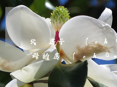 父親房子遺產(chǎn)子女怎么繼承(父母的房產(chǎn)女兒有沒有繼承權(quán))