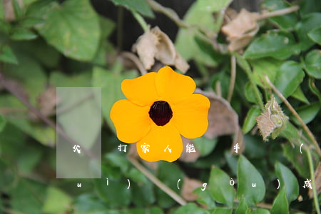 父親打家人能還手嗎,會(huì)不會(huì)構(gòu)成家暴