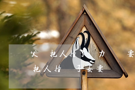 父親把人撞了無力償還要兒子負責嗎-父親把人撞傷子女要賠償嗎