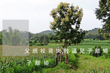 父親投資失敗逼兒子離婚(父親投資失敗逼兒子離婚)