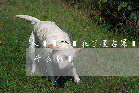 父親撿到錢犯了侵占罪對(duì)子女有什么影響