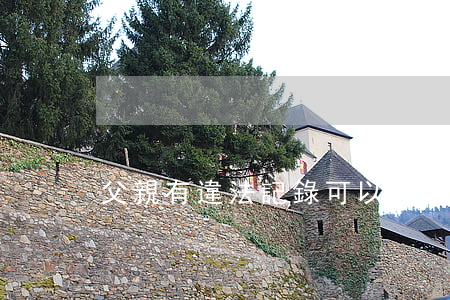父親有違法記錄可以入黨嗎