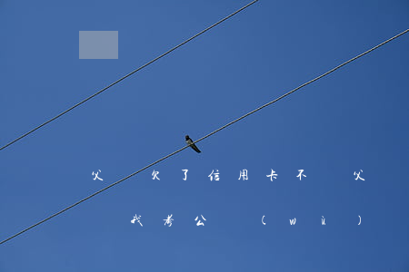 父親欠了信用卡不還(父親欠信用卡不還會影響我考公務(wù)員嗎)