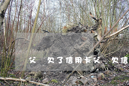 父親欠了信用卡（父親欠信用卡還要還）