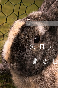 父親欠信用卡20幾萬(父親欠了信用卡,女兒需要還嗎)