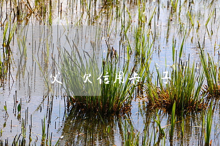 父親欠信用卡兒子還錢