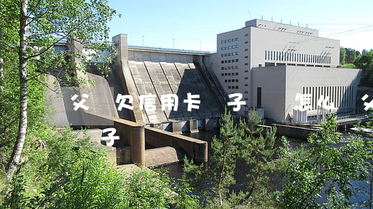 父親欠信用卡兒子還錢怎么辦（父親欠信用卡兒子還）