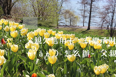 父親欠信用卡沒有繼承財(cái)產(chǎn)怎么辦-父親欠信用卡沒有繼承財(cái)產(chǎn)怎么辦理