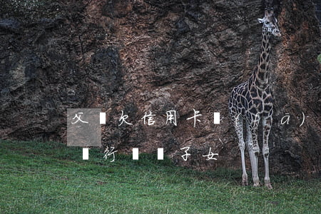 父親欠信用卡發(fā)短信(父親欠信用卡銀行騷擾子女)