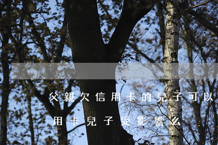 父親欠信用卡的兒子可以借錢嗎-父親欠信用卡兒子受影響么