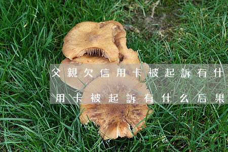 父親欠信用卡被起訴有什么后果-父親欠信用卡被起訴有什么后果嗎