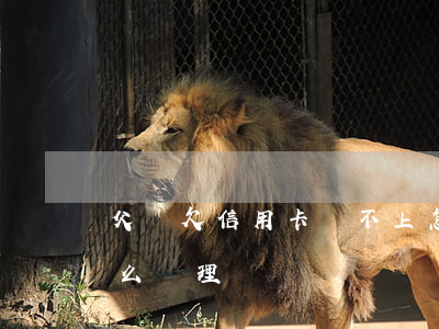 父親欠信用卡還不上怎么辦（父親欠信用卡怎么處理）