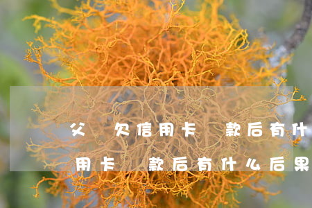 父親欠信用卡還款后有什么后果-父親欠信用卡還款后有什么后果嗎