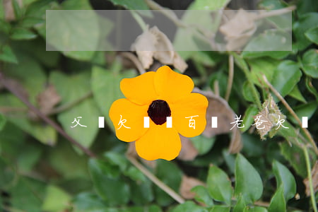 父親欠債幾百萬（老爸欠銀行500萬）