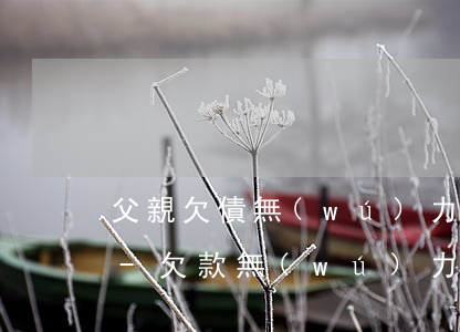 父親欠債無(wú)力償還兒子有必要還嗎-欠款無(wú)力償還2023年新規(guī)出來(lái)了