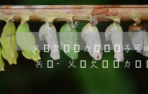 父親欠債無力償還,兒子可以當(dāng)兵嗎-父親欠債無力償還,兒子可以當(dāng)兵嗎知乎