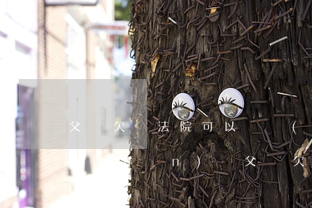 父親欠帳法院可以棟結(jié)兒子財產(chǎn)嗎(父親欠錢兒子有房子可以起訴嗎?)