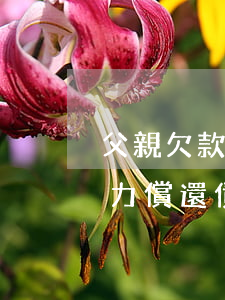 父親欠款無(wú)力償還（父親無(wú)力償還債務(wù)的）