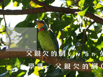父親欠的網(wǎng)貸影響孩子當兵上學嗎-父親欠的網(wǎng)貸影響孩子當兵上學嗎知乎