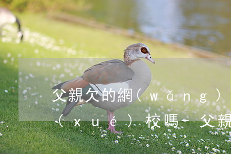 父親欠的網(wǎng)貸能查到孩子的學(xué)校嗎-父親欠的網(wǎng)貸能查到孩子的學(xué)校嗎知乎