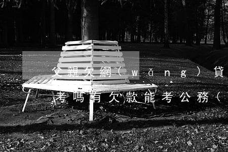 父親欠網(wǎng)貸公務(wù)員能考嗎(有欠款能考公務(wù)員嗎)