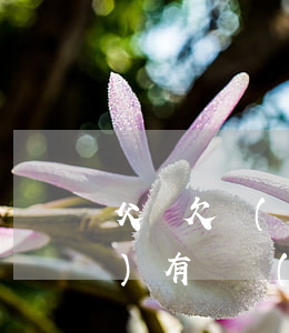 父親欠網(wǎng)貸去世了沒(méi)有遺產(chǎn)(兒子已過(guò)世沒(méi)有遺產(chǎn)欠網(wǎng)貸父母要還嗎)