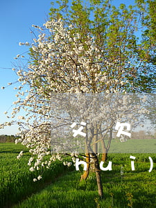 父親欠網(wǎng)貸孩子的銀行卡會(huì)凍結(jié)嗎-父親欠網(wǎng)貸孩子的銀行卡會(huì)凍結(jié)嗎怎么解凍