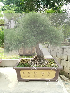父親欠網(wǎng)貸對孩子有什么影響(兒子欠網(wǎng)貸父母受影響嗎)