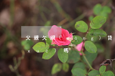 父親欠網(wǎng)貸影響孩子上大學(xué)嗎