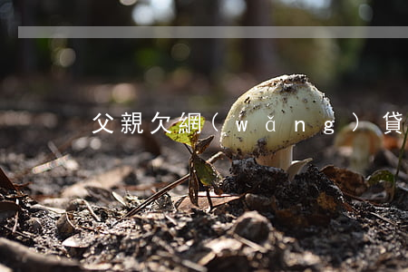 父親欠網(wǎng)貸死了怎么辦