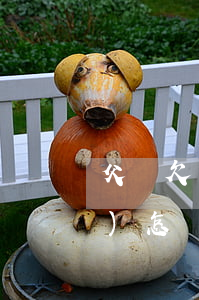 父親欠網(wǎng)貸錢不還會(huì)怎樣(父親網(wǎng)貸欠錢跟子女有關(guān)系嗎)
