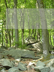 父親欠網貸被起訴影響孩子上學嗎-父親欠網貸被起訴影響孩子上學嗎知乎