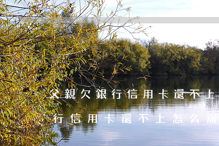 父親欠銀行信用卡還不上怎么辦-父親欠銀行信用卡還不上怎么辦呢