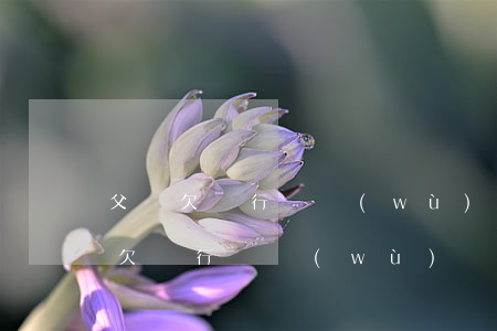 父親欠銀行債務(wù)沒還,找子女-父親欠銀行債務(wù)沒還,找子女
