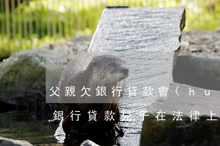 父親欠銀行貸款會(huì)怎樣-父親欠銀行貸款兒子在法律上有義務(wù)還嗎