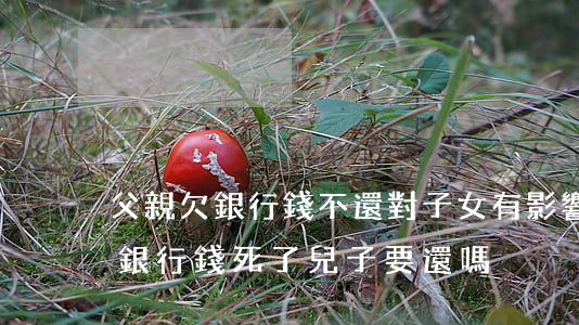 父親欠銀行錢不還對子女有影響嗎-父親欠銀行錢死了兒子要還嗎