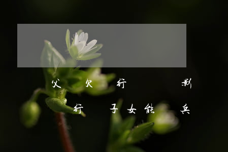 父親欠銀行錢沒還影響兒子參軍嗎-父親欠銀行錢子女能當兵嗎