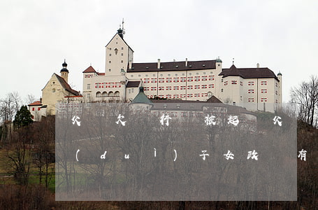 父親欠銀行錢被起訴(父親欠銀行錢被起訴對(duì)子女政審有影響嗎)