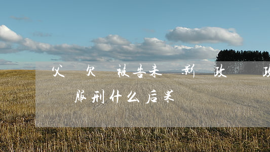 父親欠錢被告未還影響政審嗎(政審隱瞞了父親服刑什么后果)