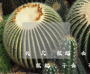 父親欠錢被起訴女兒能參加高考嗎-父親欠債被起訴 子女會不會有牽連、但孩子在母親名下