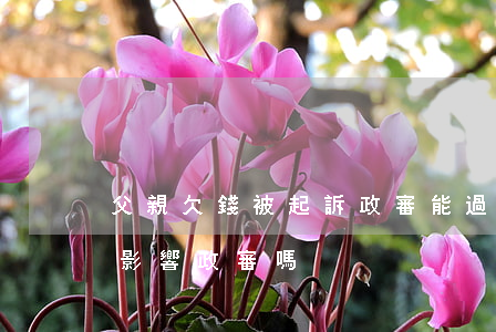 父親欠錢被起訴政審能過嗎(父親欠債被起訴影響政審嗎)