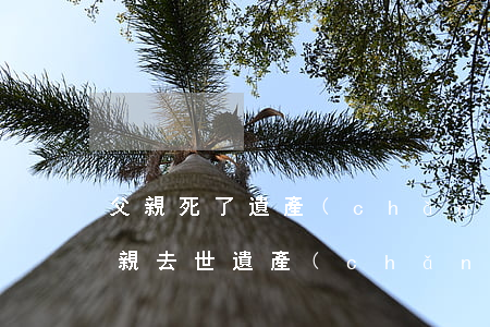 父親死了遺產(chǎn)怎么繼承分配(父親去世遺產(chǎn)怎么繼承)