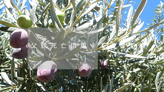 父親死亡信用卡不還會怎樣