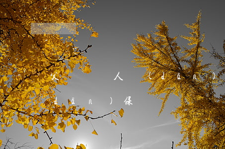 父親為別人擔(dān)保逾期(給父親擔(dān)保)