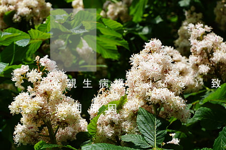 父親生病導(dǎo)致信用卡逾期(信用卡逾期原因)