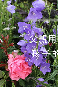 父親用孩子的信用卡還不起怎么辦-父親用孩子的信用卡還不起怎么辦呢