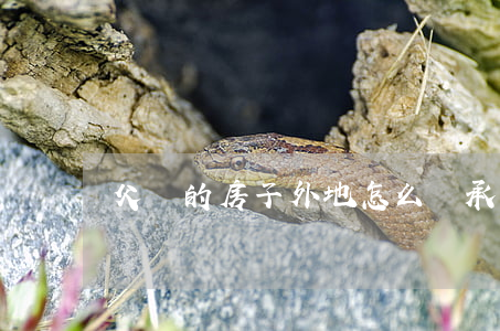 父親的房子外地怎么繼承