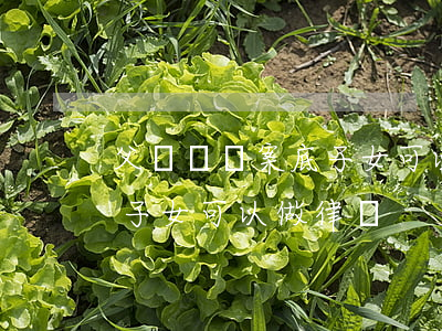 父親盜竊案底子女可以做律師(父親盜竊案底子女可以做律師)