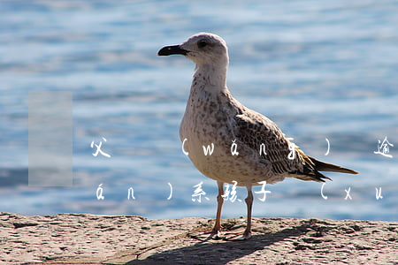 父親網(wǎng)貸逾期會不會聯(lián)系孩子學(xué)校-父親網(wǎng)貸逾期會不會聯(lián)系孩子學(xué)校老師