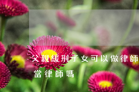 父親緩刑子女可以做律師嗎(父親坐過牢可以當律師嗎)